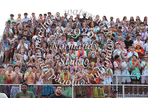 SVL_fans_86