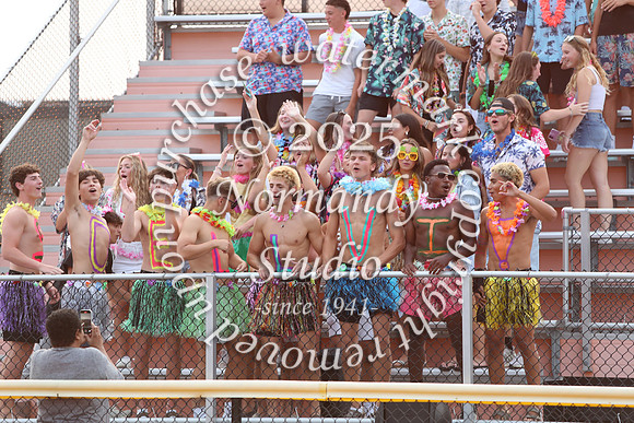 SVL_fans_01