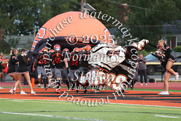 SVL_fb_16