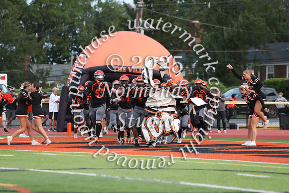 SVL_fb_19