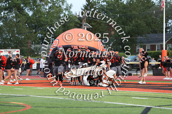 SVL_fb_25