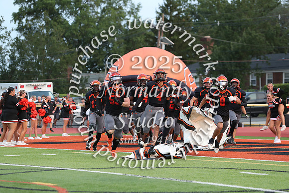 SVL_fb_29