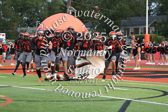 SVL_fb_31