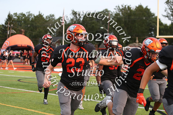 SVL_fb_46