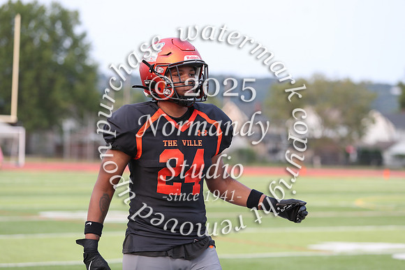 SVL_fb_50