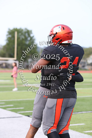 SVL_fb_55