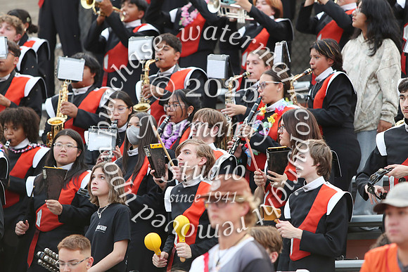 SVL_mb_09
