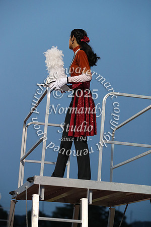 SVL_mb_19