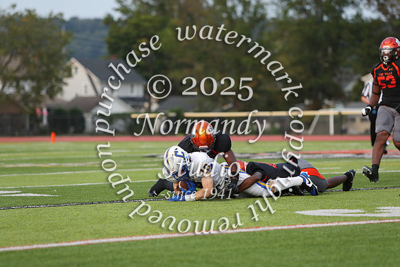 CHS_fb_29