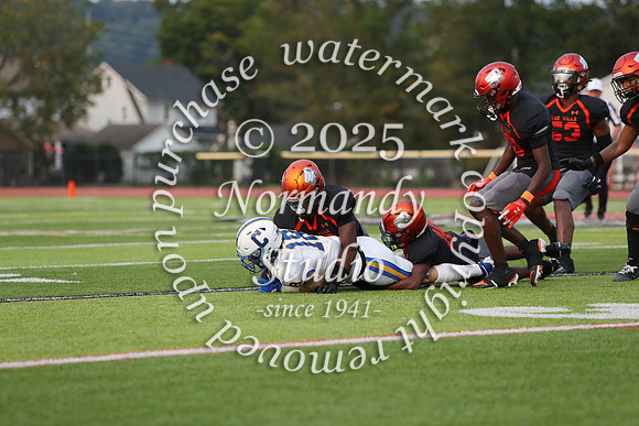 CHS_fb_30