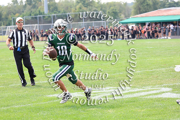 CNH_fb_48