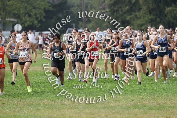 WMM_cc-g_56