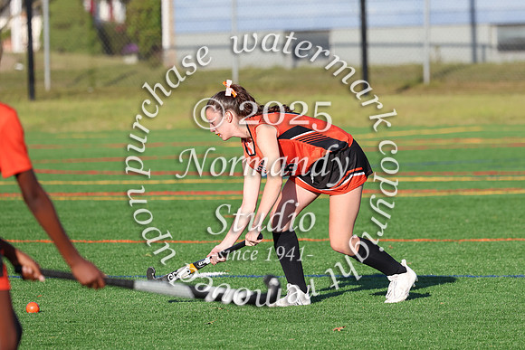 SVL_fh-j_007