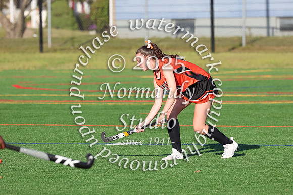 SVL_fh-j_006