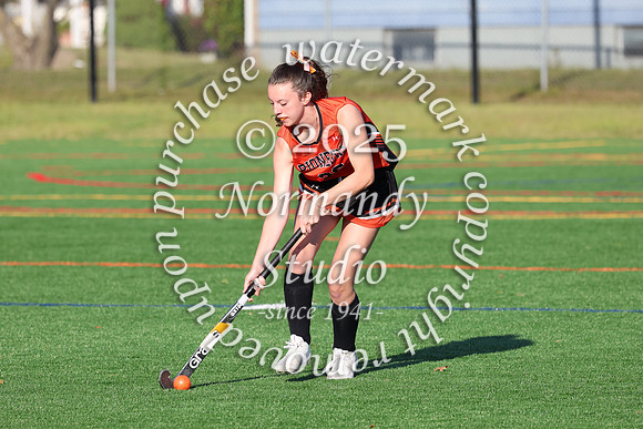 SVL_fh-j_008