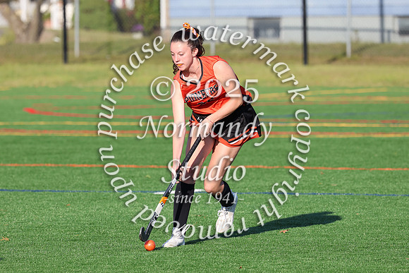 SVL_fh-j_009