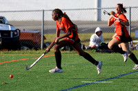SVL_fh-j_017