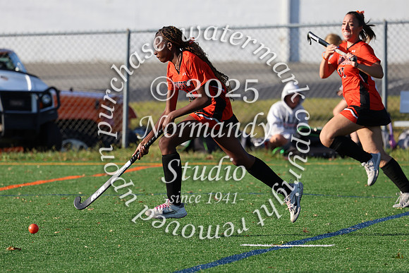 SVL_fh-j_017