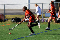 SVL_fh-j_016