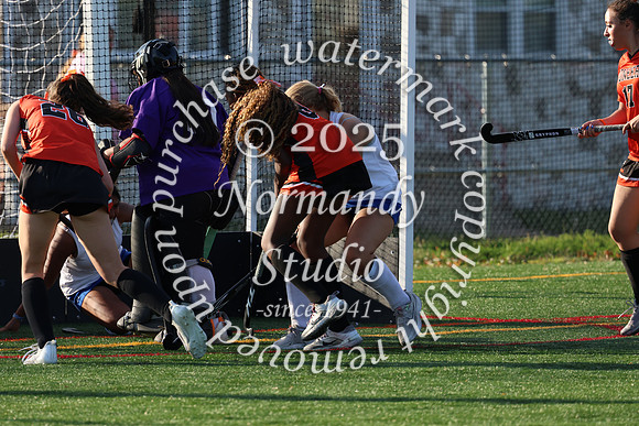 SVL_fh-j_018