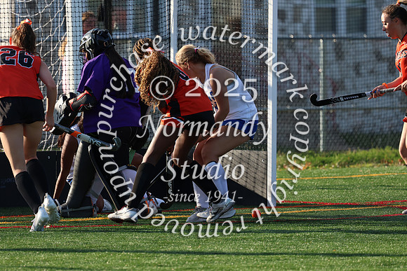 SVL_fh-j_019