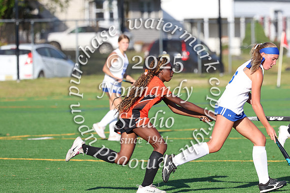 SVL_fh-j_029