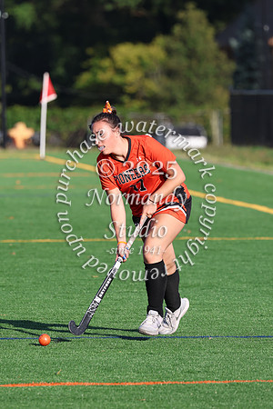 SVL_fh-j_036
