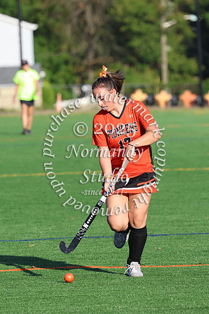 SVL_fh-j_038
