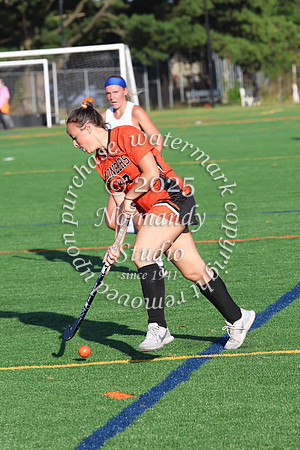 SVL_fh-j_041
