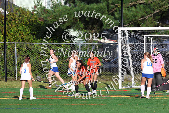 SVL_fh-j_047