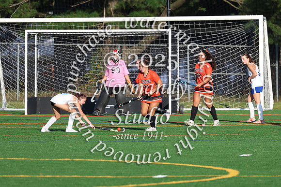 SVL_fh-j_078