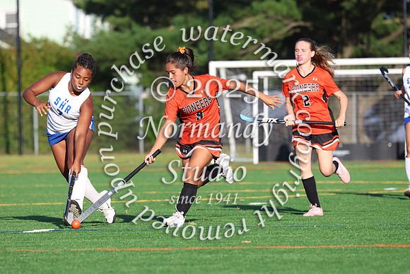 SVL_fh-j_091