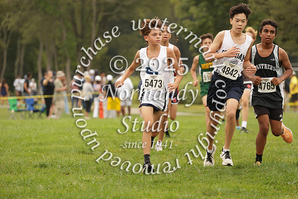 SHP_cc_31