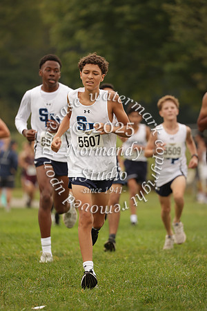 SHP_cc_37
