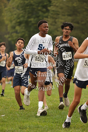 SHP_cc_39