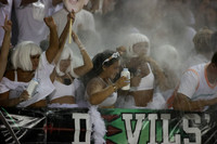RDG_fans_20