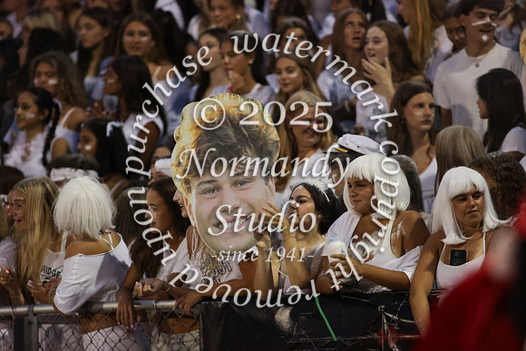 RDG_fans_19