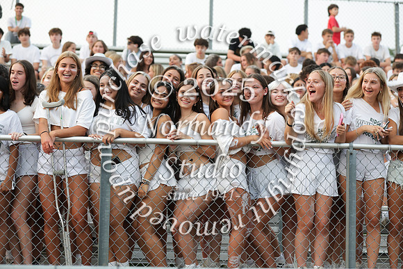 RDG_fans_40