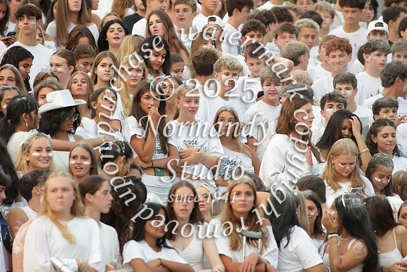 RDG_fans_01