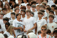 RDG_fans_05