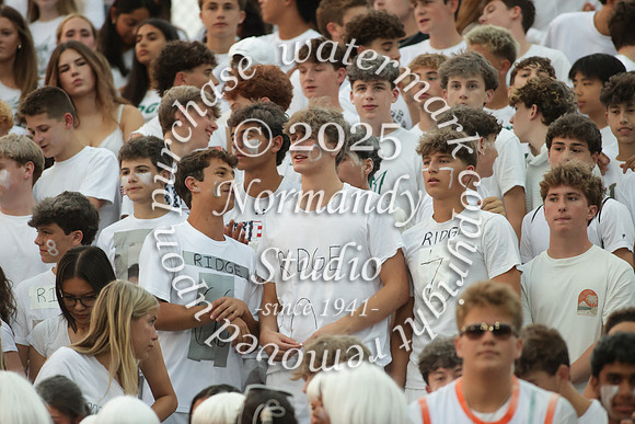 RDG_fans_05