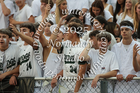 RDG_fans_07