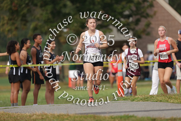 BER_cc-g_06