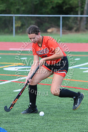 SVL_fh-j_09