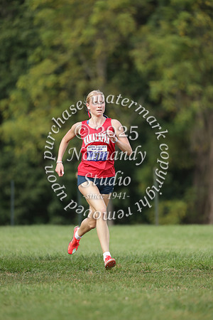 MNP_cc-g_29