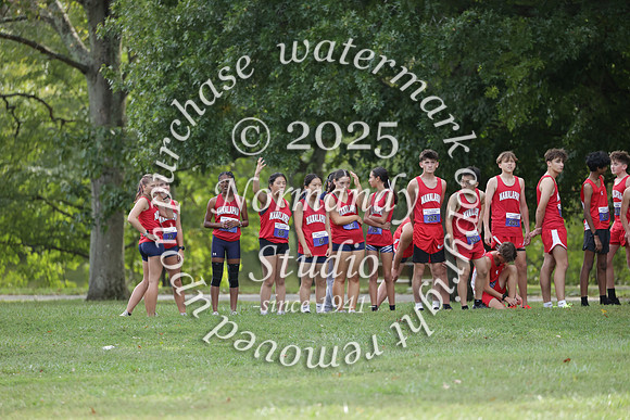 MNP_cc-g_01
