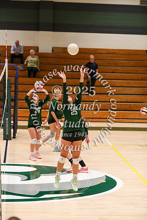 CNH_vb-g_03