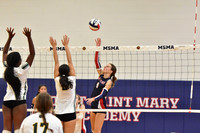 MSM_vb_10