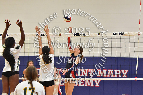 MSM_vb_10