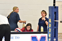MSM_vb_12